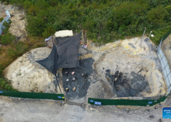 Descoperirea unui fosil jurasic în estul Chinei oferă noi perspective asupra originii păsărilor