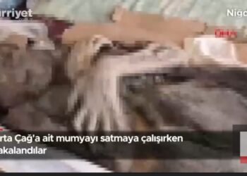 Au pus sechestru pe o mumie din Evul Mediu. Șase arestați!