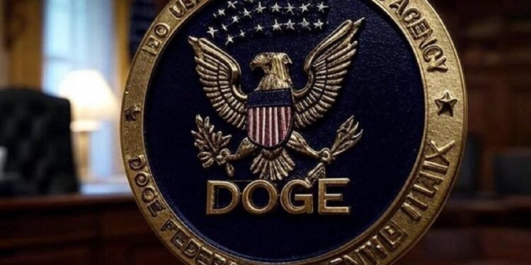 Milioane de americani trecuți de 120 de ani, cu numere de securitate socială