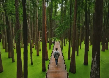 Lacul Zhejiang și legende împletite de două mii de ani