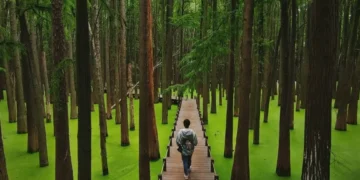 Lacul Zhejiang și legende împletite de două mii de ani