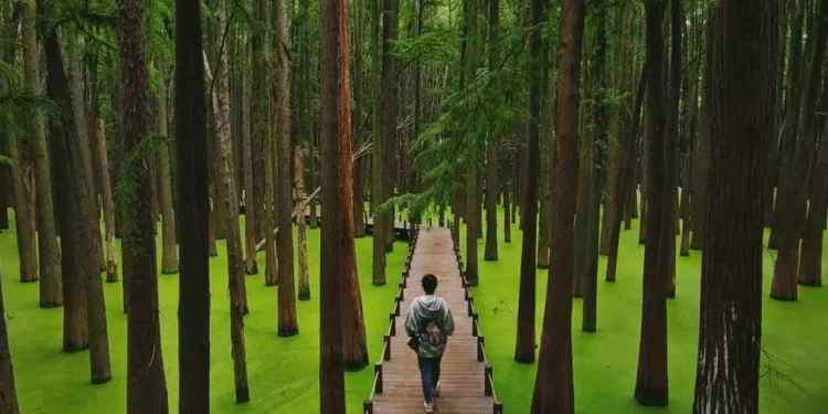 Lacul Zhejiang și legende împletite de două mii de ani