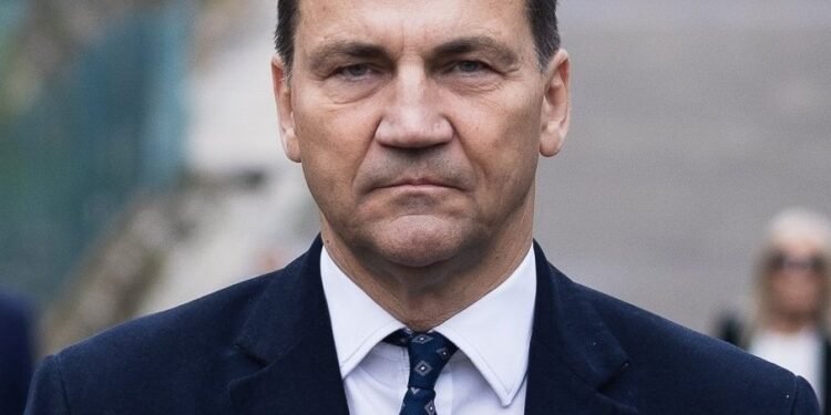 Elon Musk, ceartă pe X cu un ministru. „Stai liniștit, omulețule”