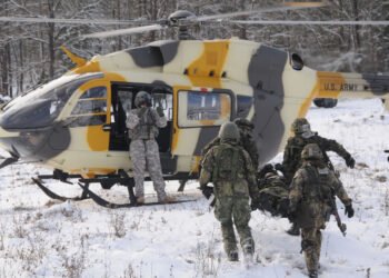 Polonia va deveni al doilea cel mai mare utilizator de Apache din lume