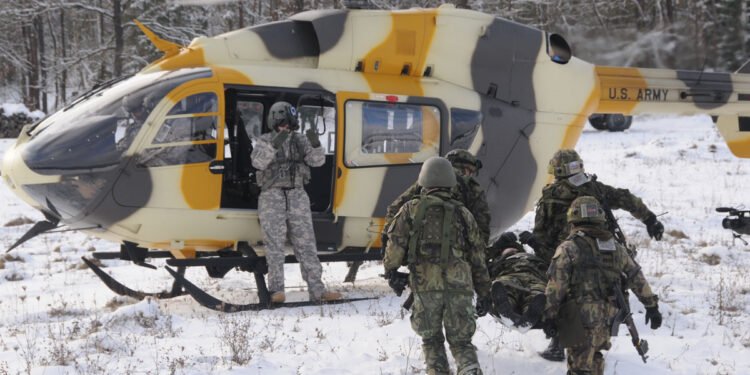 Polonia va deveni al doilea cel mai mare utilizator de Apache din lume