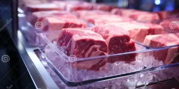 Friptura viitorului: Cum este produsă carnea în laborator?