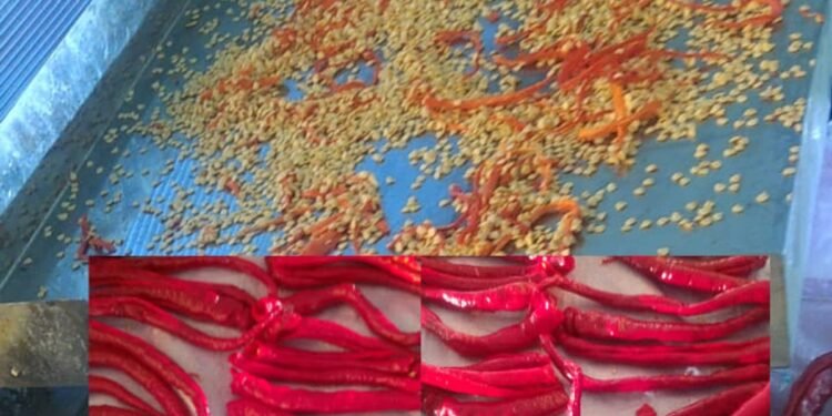 20 de tone de boia iute, confiscate dintr-un camion românesc