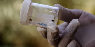 Cum ne apărăm de căpușe la început de primăvară