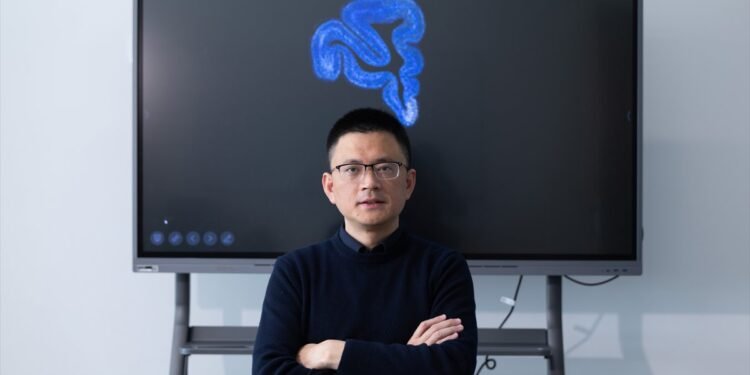 Pas important în lupta cu schizofrenia și depresia