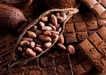 Arborii de cacao, tot mai afectați de boli. Apare ciocolata artificială!