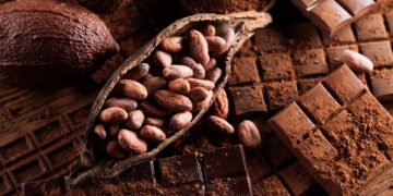 Arborii de cacao, tot mai afectați de boli. Apare ciocolata artificială!