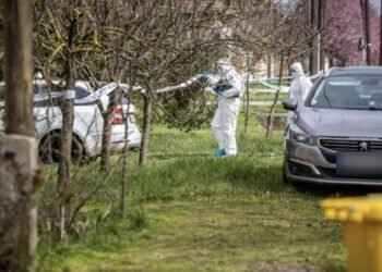 Soț și soție din Arad, decedați în Ungaria