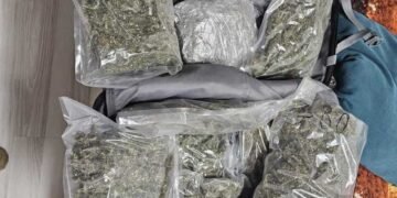 Casa unui polițist, raiul consumatorilor de droguri