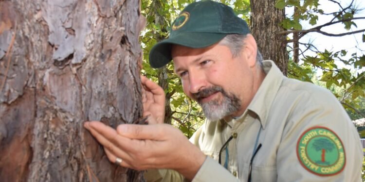 Experții concediați de DOGE avertizează: Dispar specii rare de păianjeni și gândaci