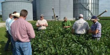 Miliarde de dolari blocate pentru fermierii americani