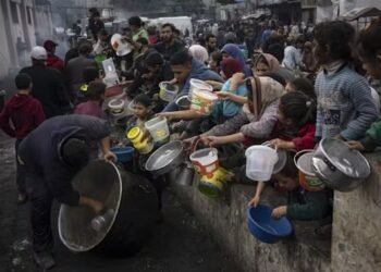 Comunitatea arabă cere sprijin pentru pace în Gaza