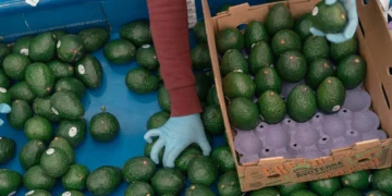 America importă mai multe alimente ca niciodată