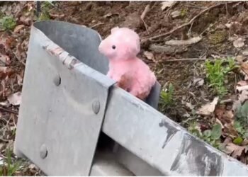 Cum s-a produs tragedia din Serbia, în care au murit doi craioveni