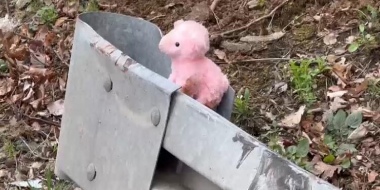 Cum s-a produs tragedia din Serbia, în care au murit doi craioveni