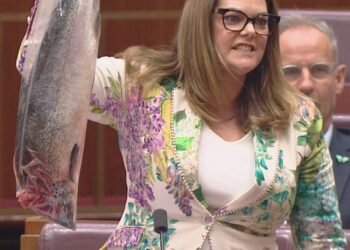 Protest cu pește stricat în Parlament