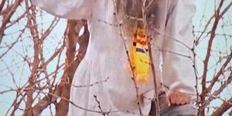 Stegarul Dac a comis-o din nou. Negociatorii, la arestul central!