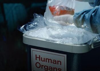 A vândut zeci de rinichi umani