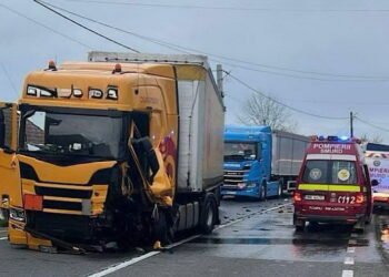 A părăsit carosabilul și s-a oprit în gard