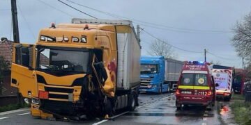 A părăsit carosabilul și s-a oprit în gard