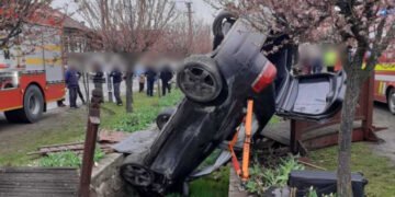 Cascadorie fără voia lor