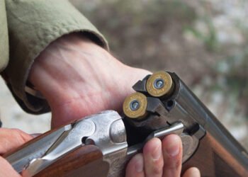 Român împușcat pentru că n-a cerut scuze câinelui