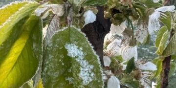 O nouă avertizare meteo produce îngrijorare în Oltenia