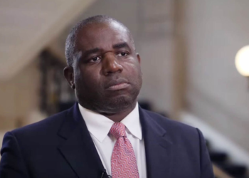 Doi parlamentari britanici, reţinuţi de Israel