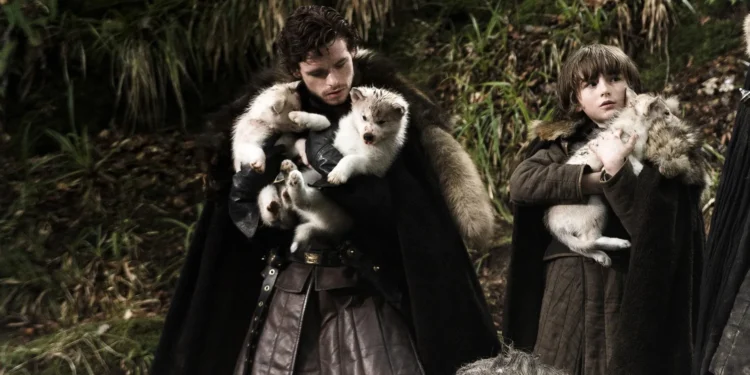 Lupi dispăruți acum 13.000 de ani, readuși la viață