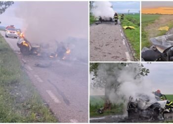 S-a izbit cu mașina de un copac