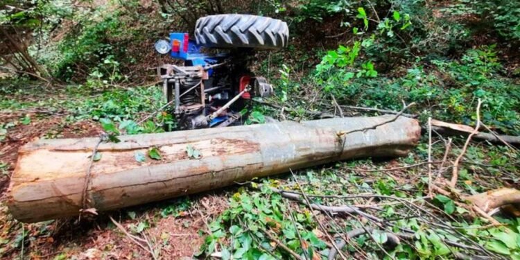 Și-a pierdut viața, prins între un tractor și un copac