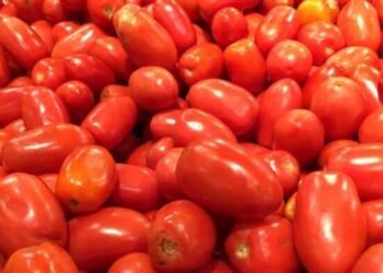 Războiul roșiilor: Tensiunile comerciale dintre Spania și Maroc ating punctul de fierbere