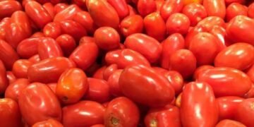 Războiul roșiilor: Tensiunile comerciale dintre Spania și Maroc ating punctul de fierbere