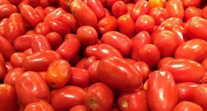 Războiul roșiilor: Tensiunile comerciale dintre Spania și Maroc ating punctul de fierbere