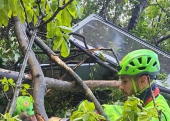 Patru turiști au murit după prăbușirea unei telecabine