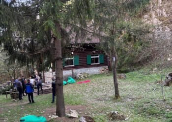 Ursul jucăuș. Jandarmii îl alungă, el se întoarce!