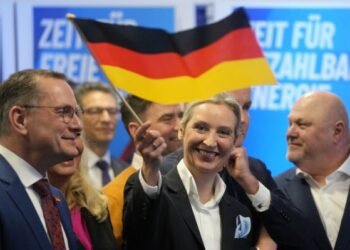 Scandal politic în Germania: Se cere interzicerea partidului de extremă dreapta AfD!