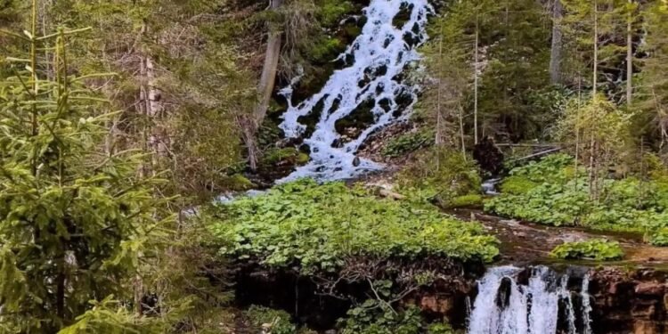 Cascada 7 Izvoare sau Izvorul Nemuririi