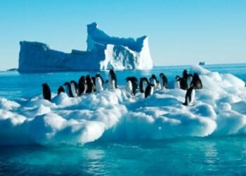 🧊 Antarctica surprinde planeta: Calota glaciară câștigă masă pentru prima dată în decenii – dar cât va dura miracolul de gheață?