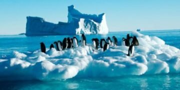 🧊 Antarctica surprinde planeta: Calota glaciară câștigă masă pentru prima dată în decenii – dar cât va dura miracolul de gheață?