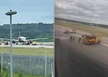 Un avion cu sute de pasageri a luat foc. Confuzia pilotului!