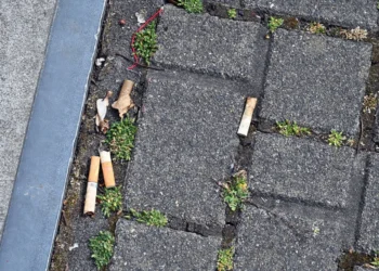 Parisul declară război chiștoacelor: plan ambițios pentru un oraș mai curat și mai responsabil