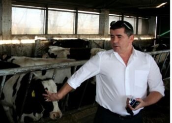 Despăgubiri de 12 milioane de euro după un proces cu statul