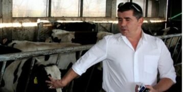 Despăgubiri de 12 milioane de euro după un proces cu statul