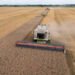 Slovacia cere UE revenirea la tarifele vamale pentru Ucraina: „Piața agricolă este dezechilibrată”