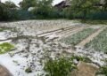 Grindina a făcut prăpăd, alerta continuă